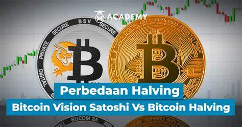 Bitcoin Vision Satoshi Halving Vs BTC Halving, What’s the Difference? - indodax.com