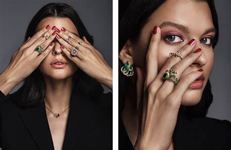 Discover the Collection