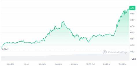 Should You Buy XRP and Hold Through 2024 and Beyond? - MSN