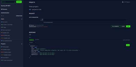 Show HN: OasRails – AutoGenerate Interactive API Docs in Rails with Yard and OAS