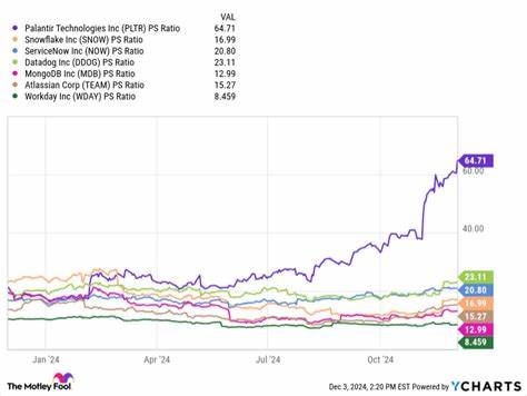 Prediction: This Super Software Growth Stock Will Be Worth More Than Palantir by 2030