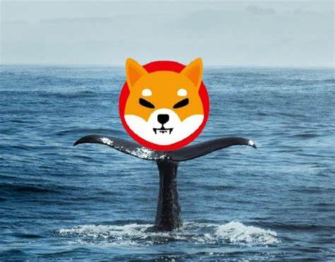 Shiba Inu Whales Rotate Into an Altcoin With RWA Features Predicted to Lead the Market in Q1 2025