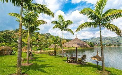 Top Must-Do Things on Rwanda Safari Tour