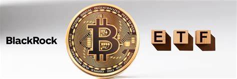 BlackRock spot bitcoin ETF's over 400 holders is 'mind boggling': Bloomberg analyst - The Block