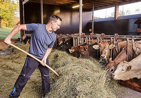 German meats supplier Allgäu Fresh Foods seeks insolvency protection