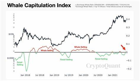 Bitcoin Price Dipped 5% In A Day: Whale Activity Increased; Analysts Say - The Market Periodical