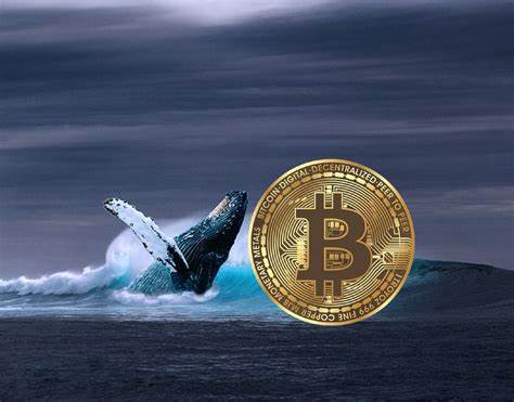 'Ancient' Bitcoin whale moves more BTC mined from 2009: Arkham - Cointelegraph