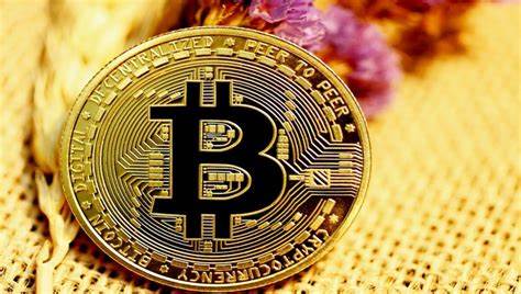 Understanding Crypto Concepts and Terminologies - Tekedia