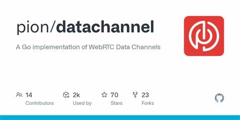 Pion WebRTC 4.1: stable AV1, large DataChannel messages, H.265 RTP payloader