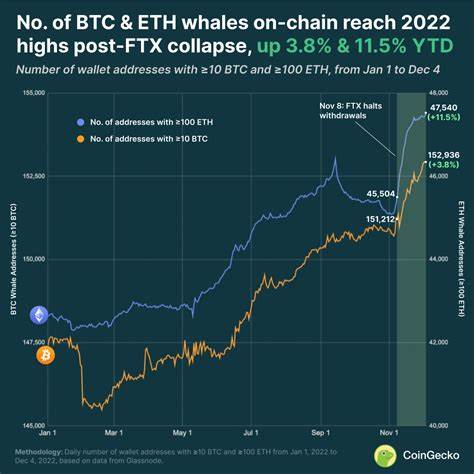 After Losing $40 Million, This Bitcoin Whale Makes Next Major Move