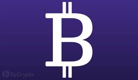 Satoshi Nakamoto’s Partner Reveals Bitcoin’s True Purpose - ZyCrypto