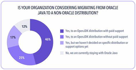 A Java Discovery Tool to Improve Migrations