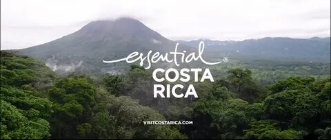 Is Costa Rica Becoming a Growing Hub for Cryptocurrency? - The Tico Times