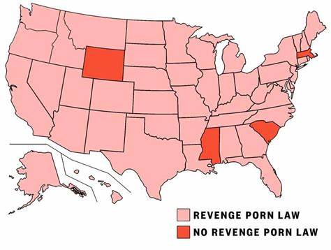 New Bill Would Make All Pornography a Federal Crime in the U.S