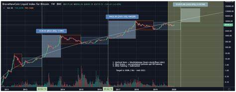 Crypto Market Forecast: W/C 9th November 2020 - Brave New Coin Insights
