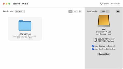 Backup to Go 2