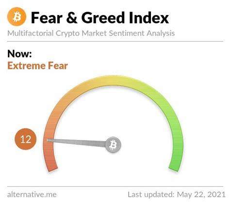 Crypto Fear & Greed Index Flashes Extreme Fear, Potential Buying Opportunity