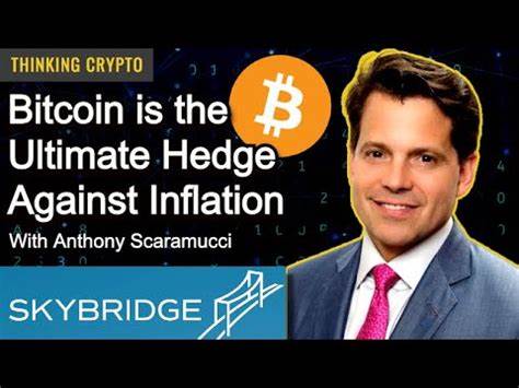 Scaramucci says institutional adoption of Bitcoin set to accelerate - CryptoSlate