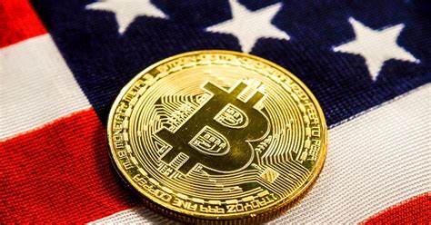 Bitcoin Or Ether: Which Will Best Withstand US Electoral Uncertainty? - Crypto News BTC