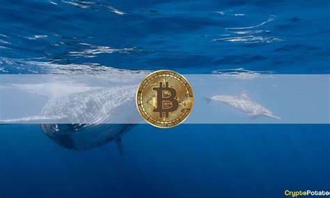 Half Billion Bitcoin Whale Suddenly Grabs Large BTC Chunk - U.Today