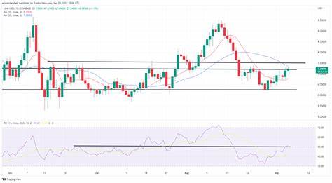 Biggest Movers: DOT, LINK Rise to Multi-Week Highs on Monday - Bitcoin.com News
