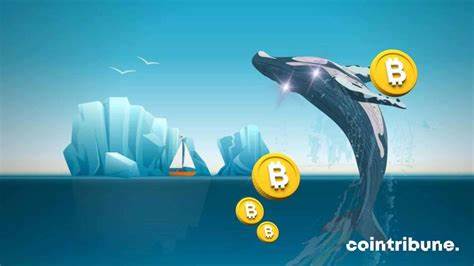 Bitcoin: Decline In Whale Transactions, A Simple Pause Or A Major Hit In Sight? - Cointribune EN