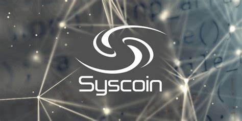 Judge Orders Syscoin Crypto Assets Returned and Rollux SYS Labs Accounting Produced - TechBullion