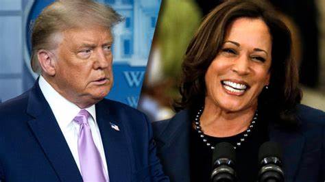 Donald Trump vs. Kamala Harris: Warum Katzen die US-Wahlen beherrschen