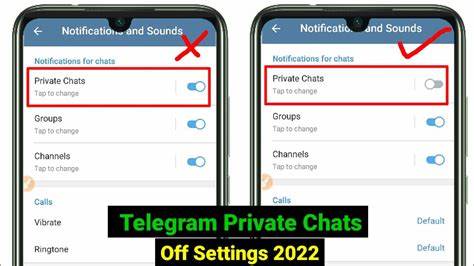 Telegram update will let users police private chats