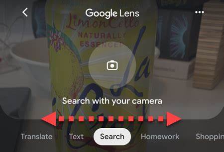Google Lens Modes
