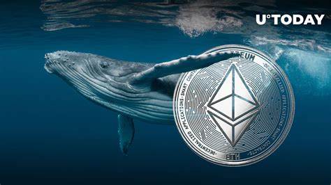 Whales Continue to Accumulate Ethereum, ETH Rally Ahead?