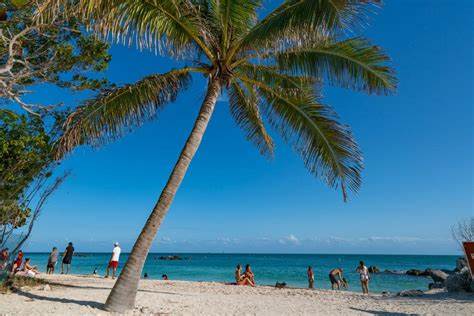 Financial Advisor: Wealthy Americans Are Flocking To Florida, but They Shouldn’t Be