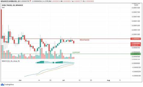 Reports Of Asset Losses, Technical Difficulties Cloud Shiba Inu Ethereum Launch - TheStreet