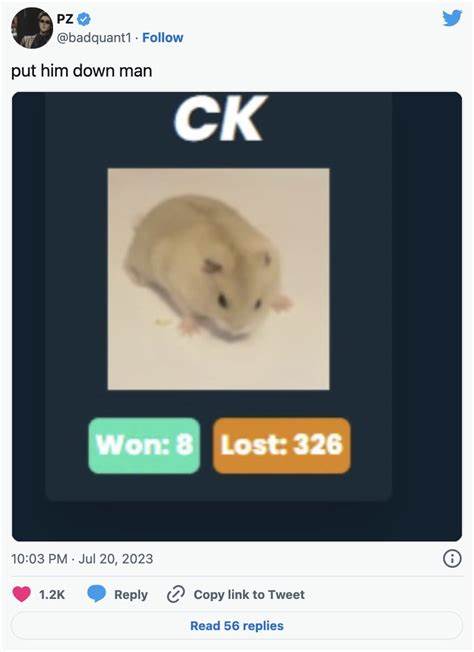 Move Over Shiba Inu: Crypto Community Flirts With Hamster Race Betting - CoinDesk