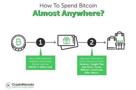 The Truth About Bitcoin’s Future in 2024, And Why Criticism Isn't Always Justified - CryptoManiaks