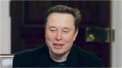 Musk warns against 'hot girl' crypto scam: What is it?