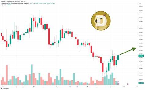 Dogecoin Price Prediction: Here’s How High DOGE Could Go If Bitcoin Reaches $13M - The Crypto Basic