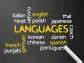 Duolingo, Inc. (DUOL): A Bull Case Theory