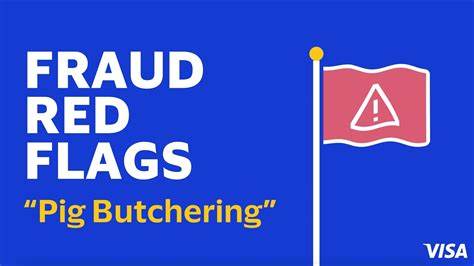 Key Red Flags of Pig Butchering Scam: How to Stay Safe - DailyCoin