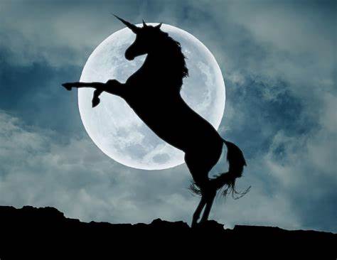 Three Web3 Unicorns In the Making | Bitcoinist.com - Bitcoinist
