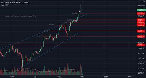 Bitcoin recovers, breaking above $56,000 resistance level