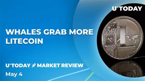 Litecoin Is A Hub Of Whales: Over $2.85 Billion Of $100,000 Transactions Processed - NewsBTC