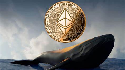 Ethereum Whale Holdings Hit 9-Year High