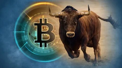 Bitcoin Leads Crypto Market Rally as Bulls Regain Control - DailyCoin
