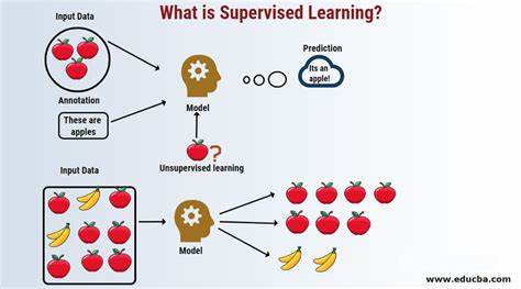 Self-supervised learning on Apple Silicon