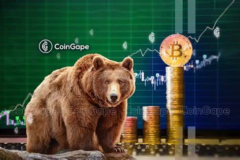 3 Cryptocurrencies to Buy in a Bear Market