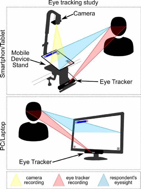 Eye-tracking study reveals where women and men look when viewing a female butt
