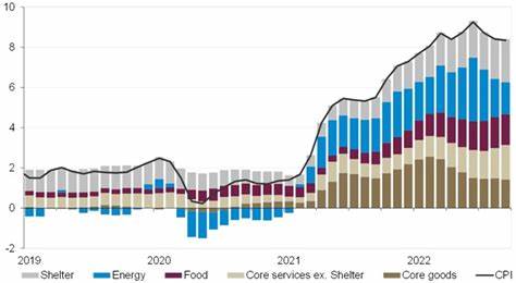 U.S. Consumer Price Index (CPI) MoM